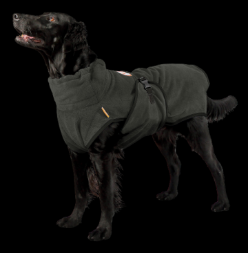 Chillcoatdogisolatedantraciet3 removebg preview 4