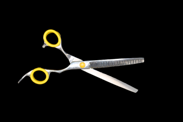 Chunker50 removebg preview