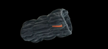 Colly removebg preview 1