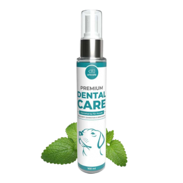 Dental care product image1 removebg preview 1