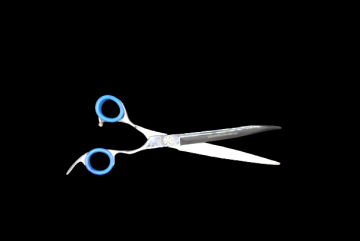 Dsc0412 removebg preview