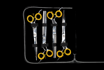 Dsc0438 removebg preview