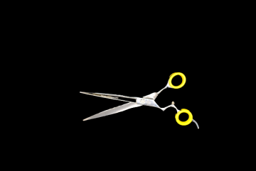 Dsc0441 removebg preview 1