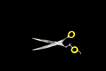 Dsc0443 removebg preview 1