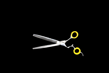 Dsc0444 removebg preview 3