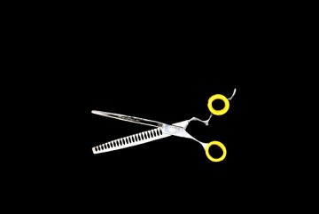 Dsc0445 removebg preview 4