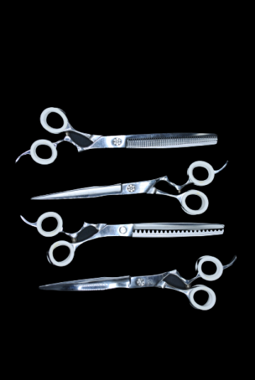 Dsc0450 removebg preview 2