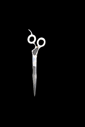 Dsc0451 removebg preview 1