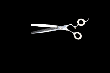 Dsc0456 removebg preview 2