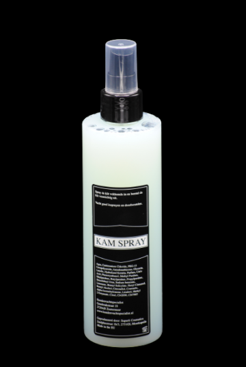 Kamsprayachterkant removebg preview